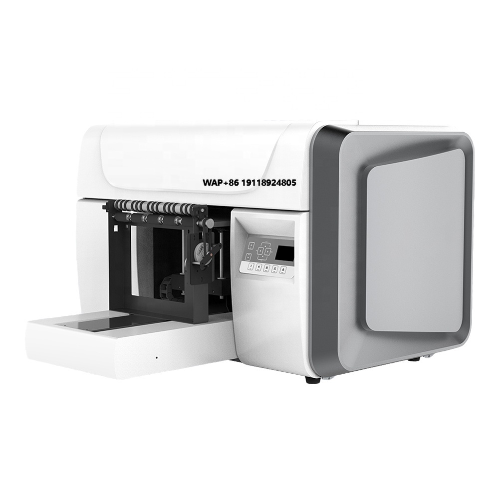 Uv Flatbed Printer - 비전픽스 W301 A3 사이즈 잉크젯 UV